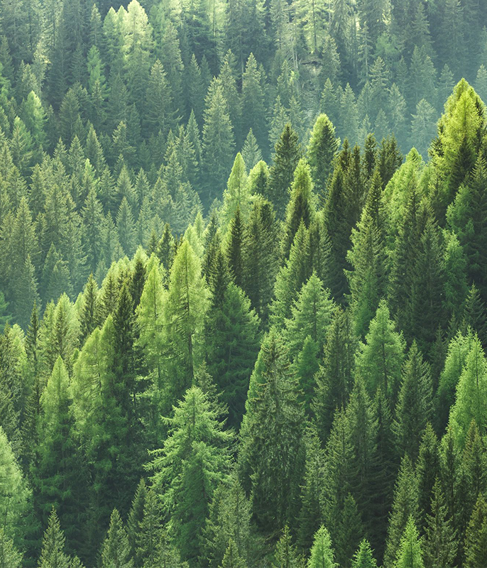 Duurzaamheid bij Holbox Duurzaamheid bij Holbox