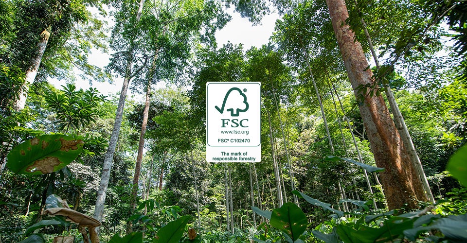 FSC certificering bij Holbox FSC certificering bij Holbox