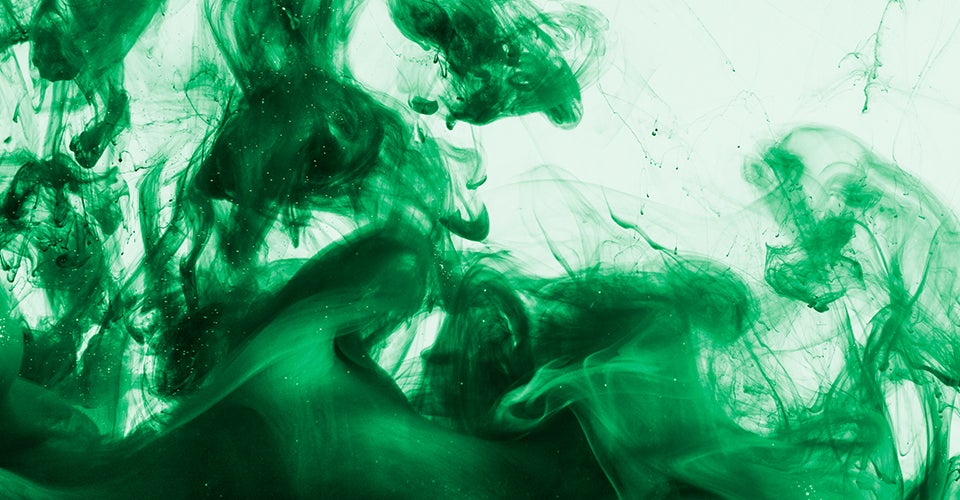 Bio inkt bij Holbox Bio inkt bij Holbox