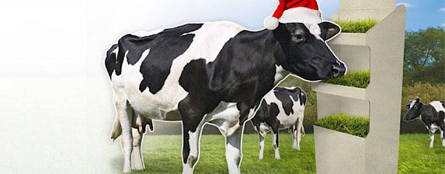 Entscheiden Sie sich für Nachhaltigkeit!